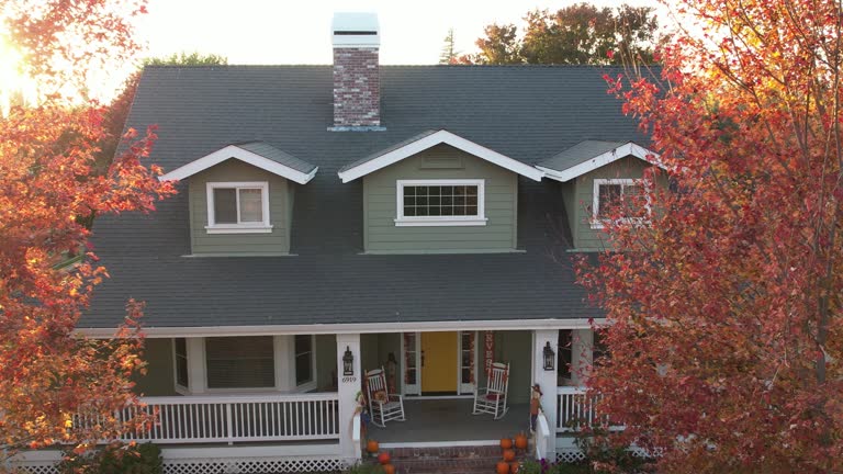 Best Chimney Flashing Repair  in Potosi, MO