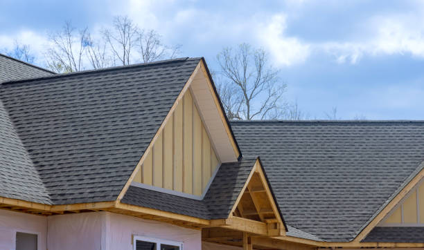 Best Roof Insulation Installation  in Potosi, MO